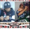 /album/galeria-de-fotos-x-independente-x-/znrbczx-jpg/